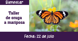 images/banner-mariposa-ag-1.jpg