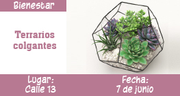 images/terrarios.jpg